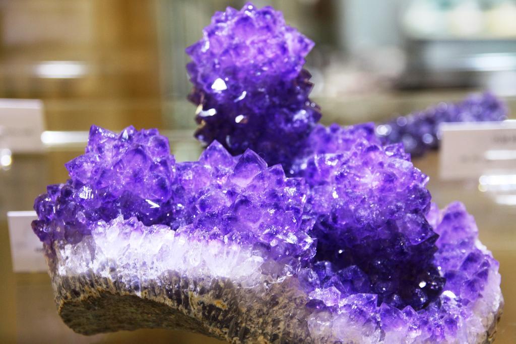 Fewo Purper Frauenberg Ngoại thất bức ảnh