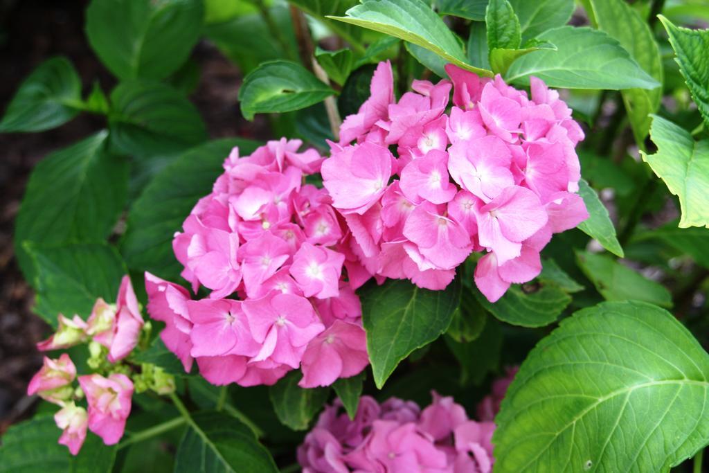 Fewo Purper Frauenberg Ngoại thất bức ảnh